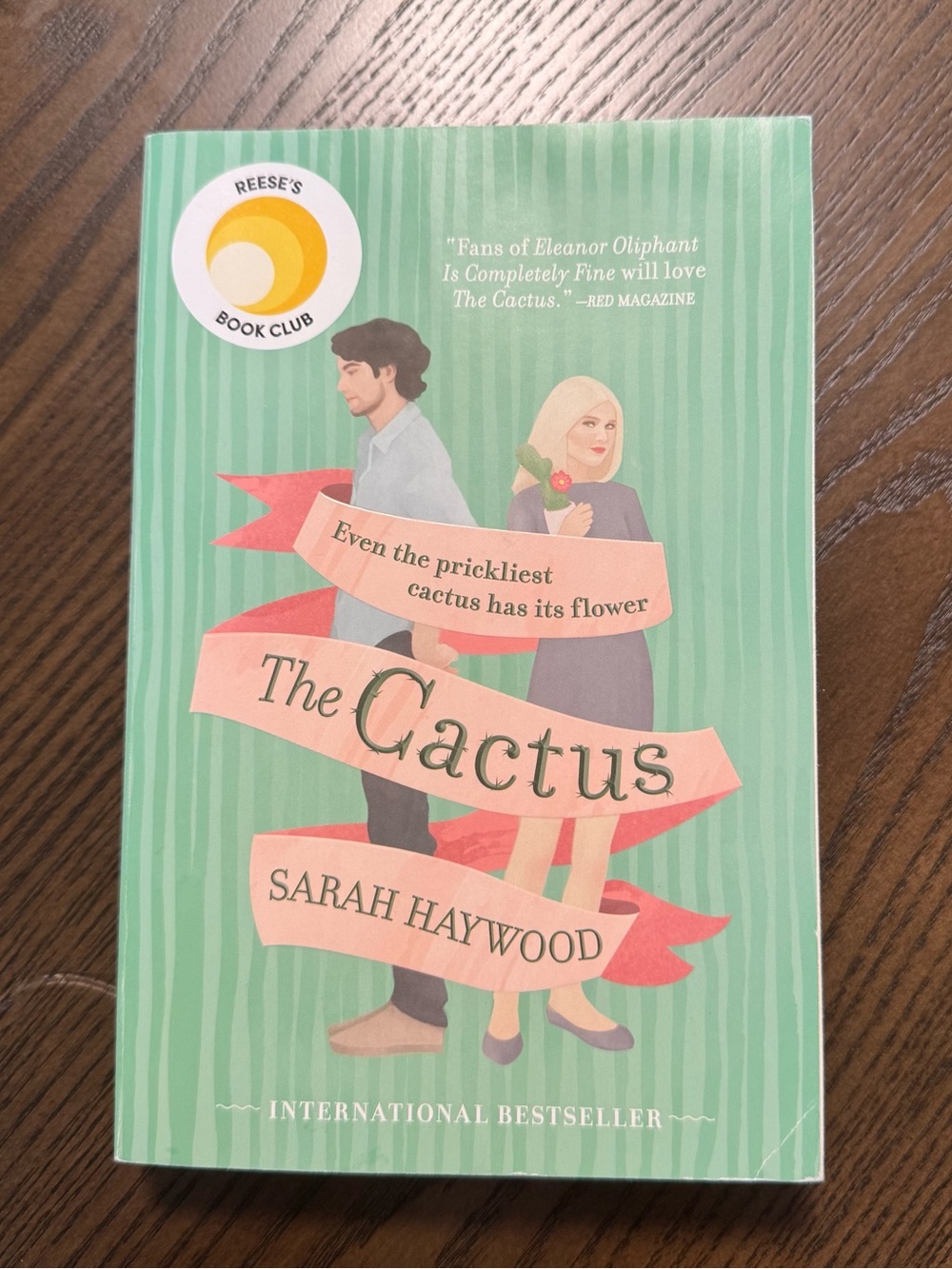 The Cactus by Sarah Haywood Paperback in Very good condition
